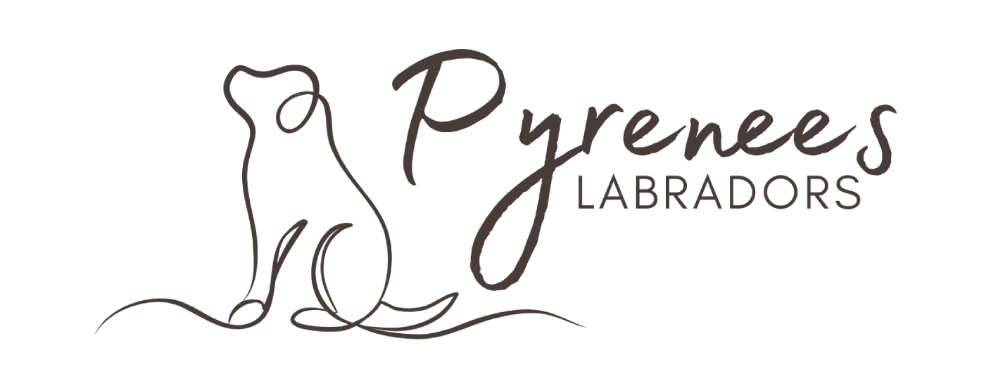 cropped-cropped-Pyrenees-Labradors